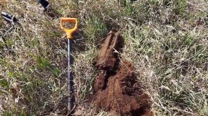 МЕТАЛЛОКОП с ТХ-850!!! МТМ РЯДОМ С ДОМОМ СНОВА РАДУЕТ!!! Видео из архива!!!