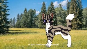 Ещë видео от сью! Опять!