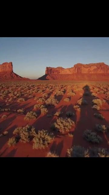 #природа #фотоприроды #красотаприроды #природаидемпси