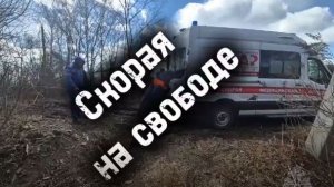 Скорая на свободе