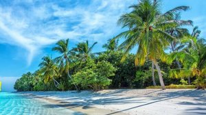 SoundWave LIVE  ✌️😎  Музыкальный марафон  ✌️😎 Музыка без границ