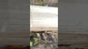 дрифт на кавадрике