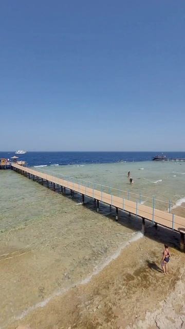 ЕГИПЕТ ШАРМ 2025 КРАСНОЕ МОРЕ #travel #beach #тренды