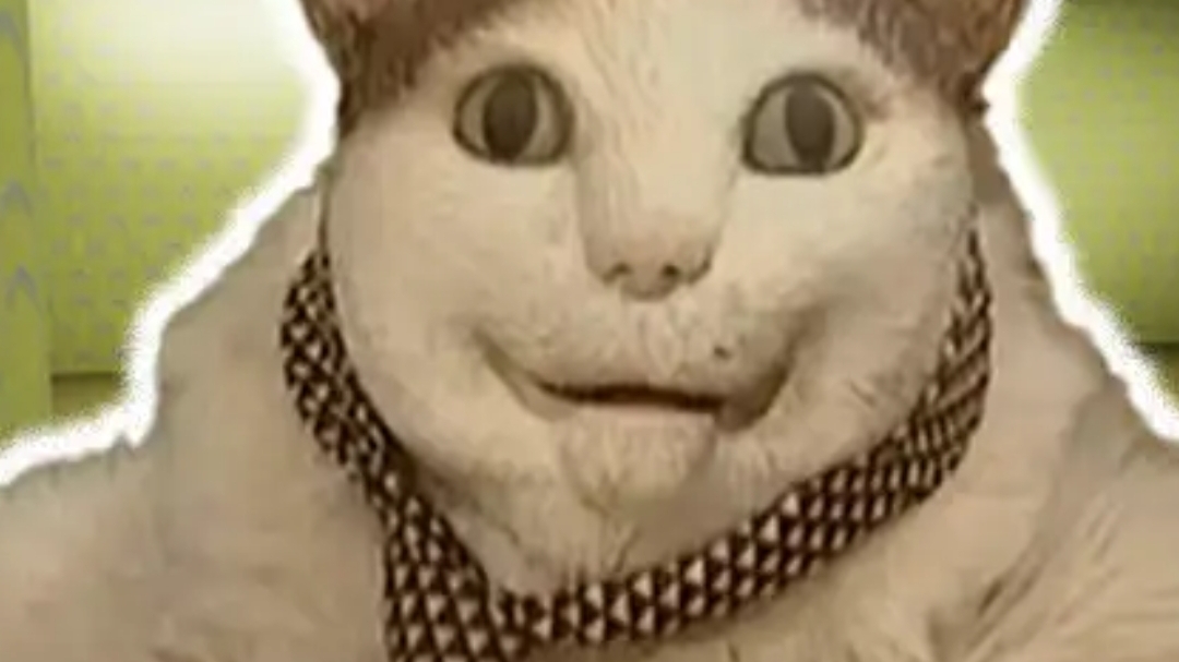 бу испугался не бойся 1 закулисье