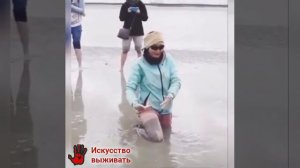 Зыбучий песок — умирать не обязательно