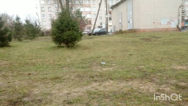 InShot_20260410_055227738.mp4прогулки апреля