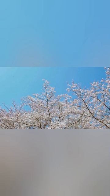 расслабься после тяжелого дня ❤️