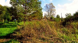 Травы, цветочки, свежий воздух, ароматы лета...