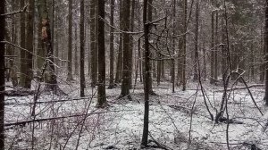 Умеет ли ваш тренер 6!ть?