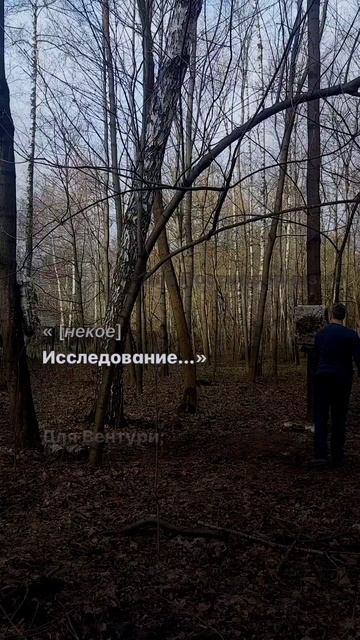 1039 459 (Вентури-009)
Америку Захлестнуло Наводнение Строительного Уродства

(Пример все здания Фут