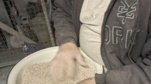 1000109407.mp4Это надо голубям.