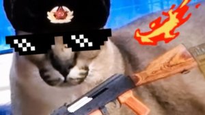 Разбился на экстриме в The Twins