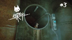 Stray #3 Спасение робота