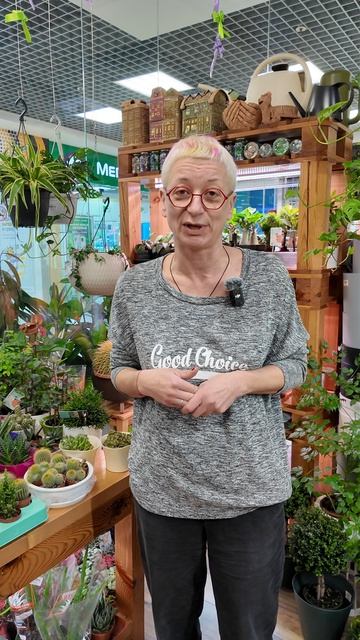 Перекись водорода вместо удобрений - новая мода у цветочников.