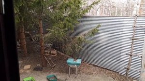 страстная пятница в вольном зоопарке