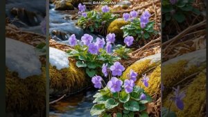 В последний раз