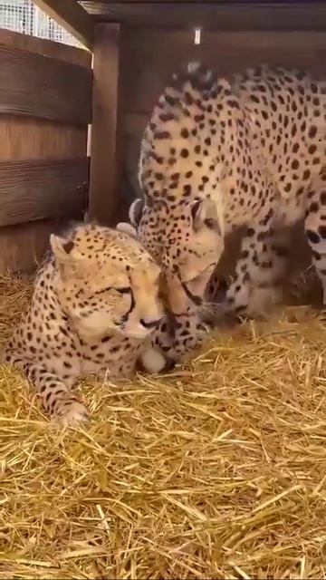 Только позови!