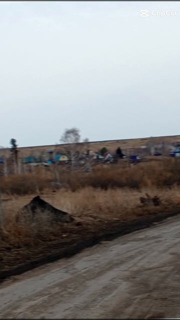 Я еду в деревне у к бабушки