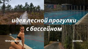 идея загородной прогулки с тёплым лесным бассейном