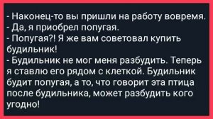 Как_у_Директора_Завода_под_Столом_Секретарша_Сидела!_Сборник_Свежих
