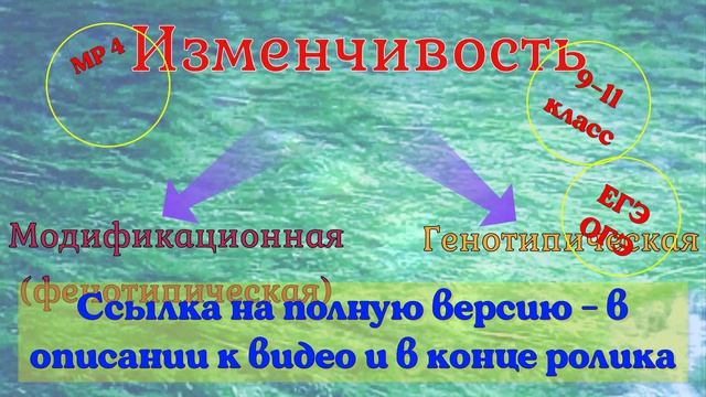 Изменчивость. Общая характеристика. Видеоурок.