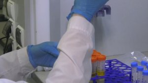 Воронежская область начала закупать китайские удобрения и пестициды