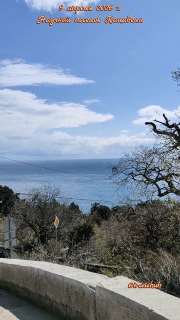 9 апреля 2026 г. Научный поселок Кацивели #ялта #ялта2026 #кацивели #горакошка #кошкая