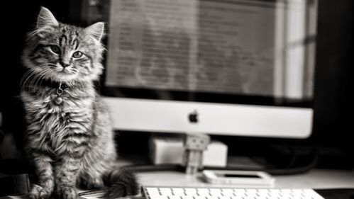 День пора начинать. Песня на стихи Раисы Йилдырим