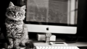 День пора начинать. Песня на стихи Раисы Йилдырим