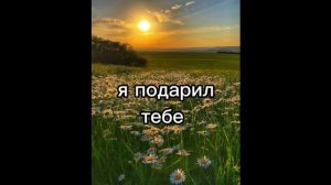 новый акк видео из моего аккаунта в лайке