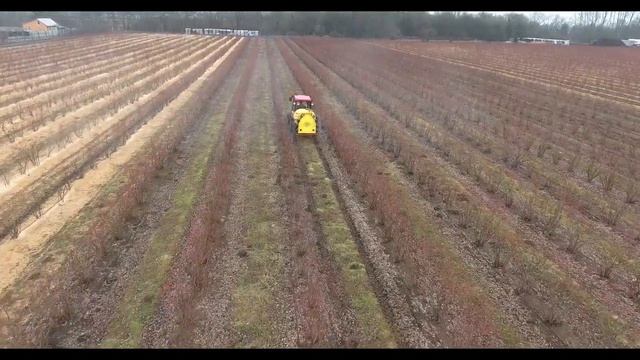 Работа модернизированного садового опрыскивателя