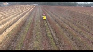 Работа модернизированного садового опрыскивателя