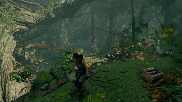 Shadow of the Tomb Raider - Собираем вещи по лесу #5