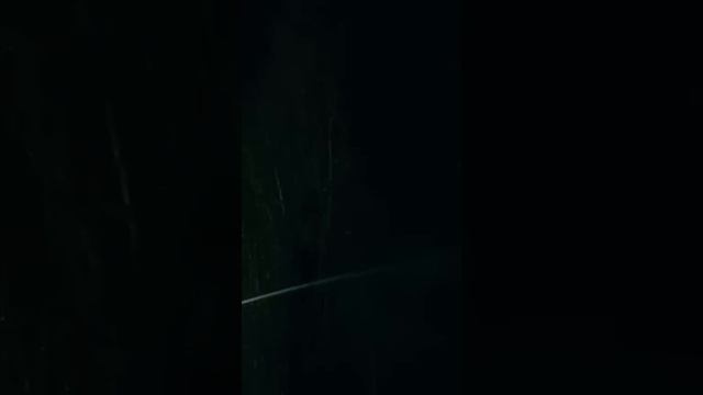 После лесной прогулки, Чип потерялся ждал у дерева рассвета#funny #youtubeshorts #squirrel