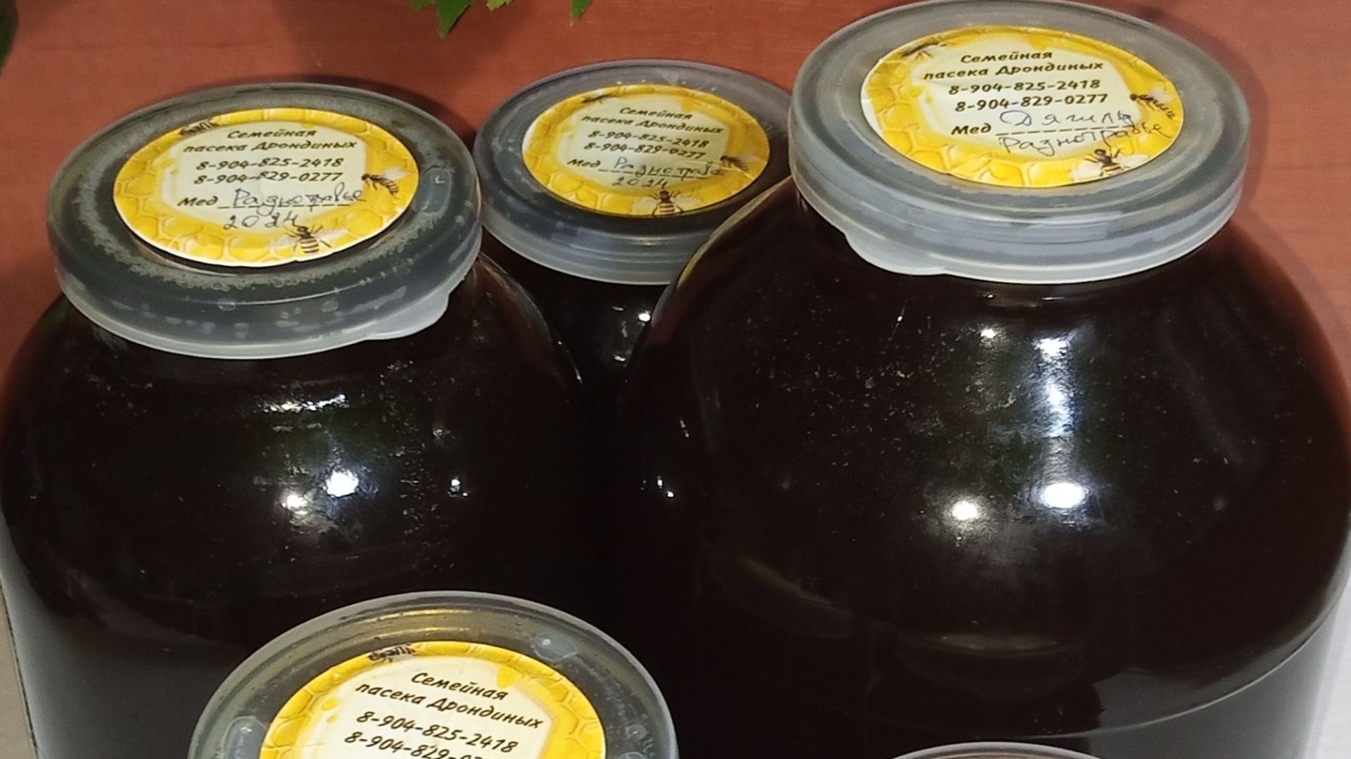 Отбор гречишного меда