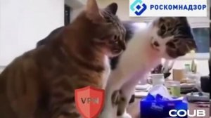 Роскомнадзор vs. VPN