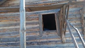 Первые работы на чесноке, начал красить домик