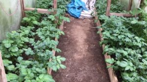 А можно и вот так