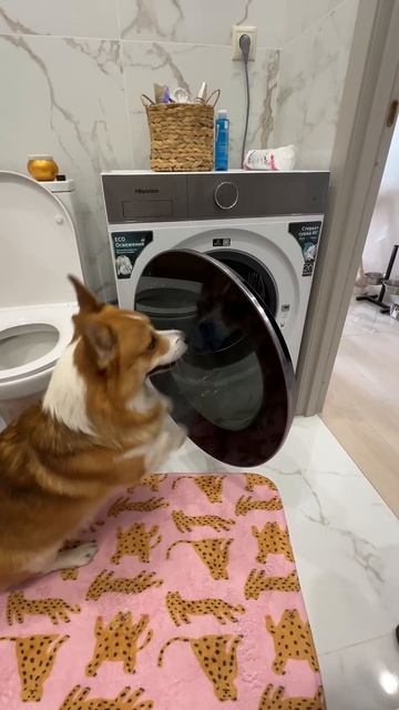 Космические новинки