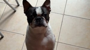 ПРАЗДНУЮ ДВА ГОДАТРИ БОГИНИ КОНТЕНТА