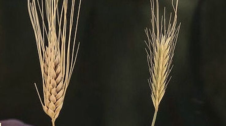 2 ч. КАК РАЗЛИЧИТЬ ГДЕ ИСТИННОЕ ПОСЛАНИЕ ОТ БОГА ОТ МНОЖЕСТВЕННЫХ КОПИЙ ИСКУССТВЕННОГО ИНТЕЛЛЕКТА!!!