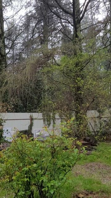 Град в Сочи