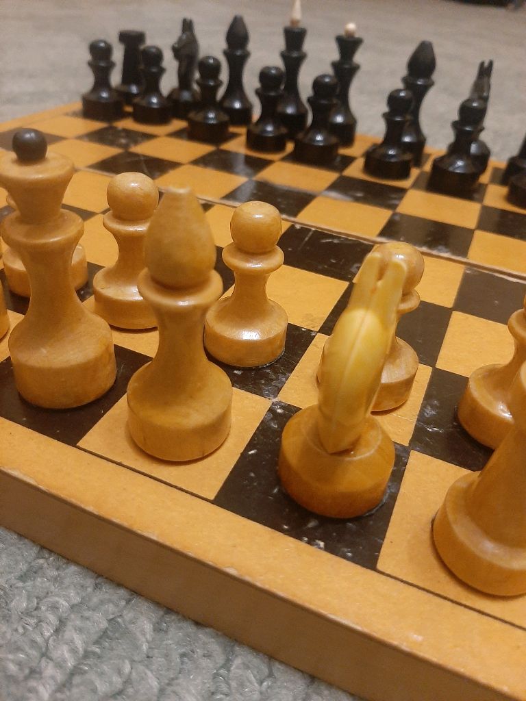 играем с братом в шахматы