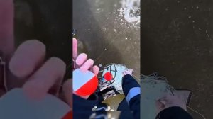 рыбалка на запугу