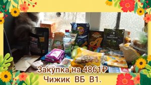 Закупка на 4861₽.Чижик ВБ В1.
