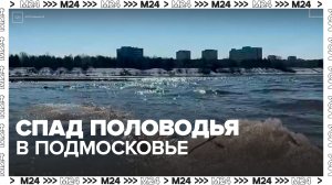 Спад половодья зафиксировали в Подмосковье на большинстве рек