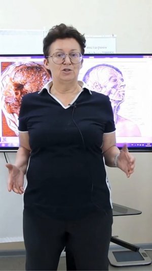 Упражнения для лопаток — снятие напряжения и дискомфорта