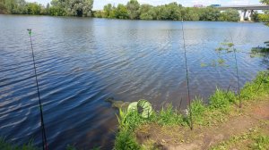 Отдых и рыбалка на Мосва реке 2025г.