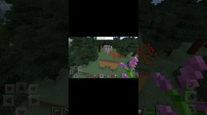 Небольшая аранжирея для цветов