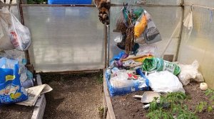 10 апреля томаты в теплице и на улице